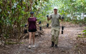 Hall & Wilcox People & Culture Advisor Clair Eichorn and Lawyer Andrew Banks walking through the Daintree Rainforest carrying tree saplings.
