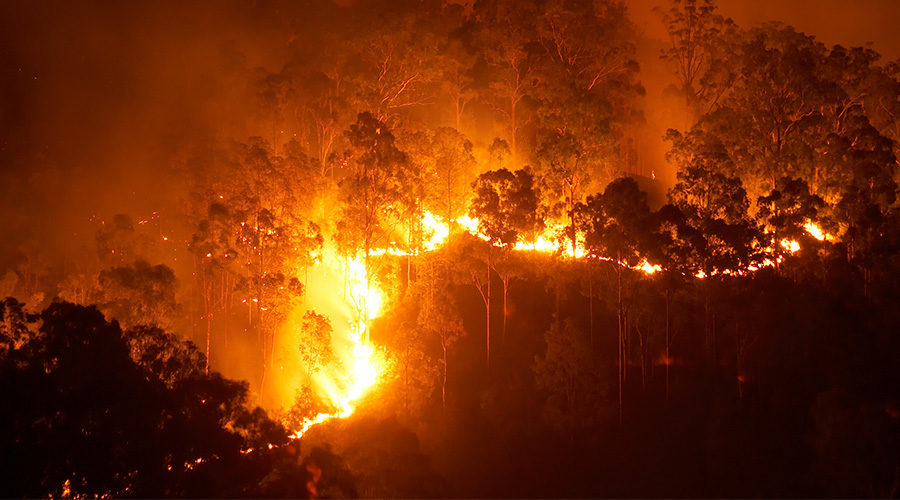 End of the line: Parkerville bushfire decision