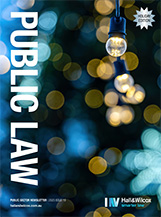 Public Law_ Issue 19_Holiday Edition_2023-cover