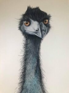 Siarn Staley, 'Edwina' artwork of an emu